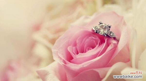 传递爱和儿女情长的粉玫瑰 粉玫瑰的寓意及象征意义