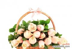 传递爱和儿女情长的粉玫瑰 粉玫瑰的寓意及象征意义