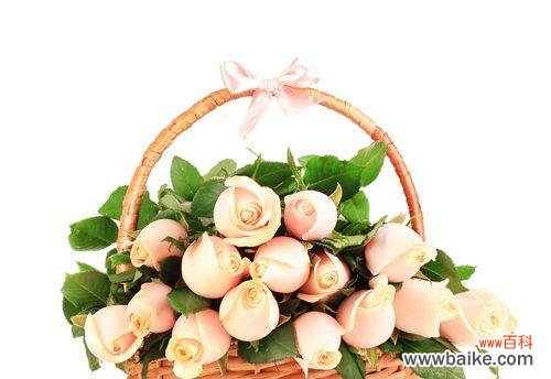 传递爱和儿女情长的粉玫瑰 粉玫瑰的寓意及象征意义