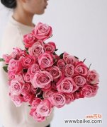 深入了解粉玫瑰花的神秘语言 粉玫瑰花花语意思解读