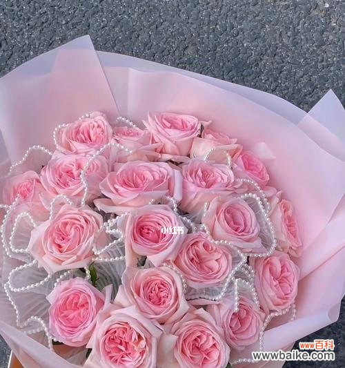 探寻玫瑰花的浪漫之谜 粉色玫瑰花的象征意义