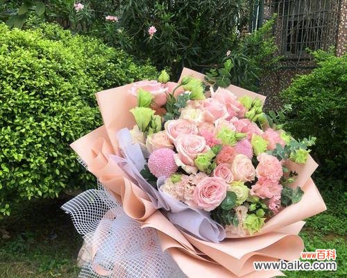 桔梗花语带给我们的美好愿景 桔梗花语