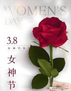 三八节送四朵花代表什么？四朵花的寓意有哪些？