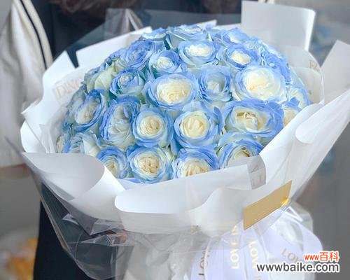 52朵花在情人节代表什么意义?情人节送52朵花的含义是什么?