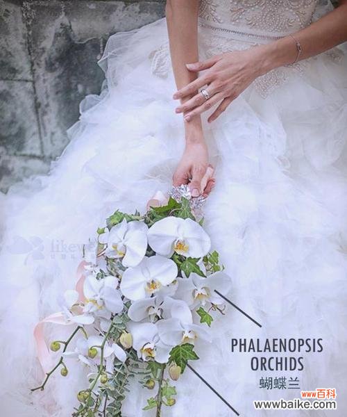 珍贵花材手捧花的寓意是什么？选择时应注意什么？