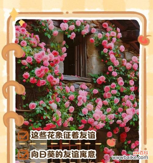 哪些花象征爱情和健康?它们的花语是什么?