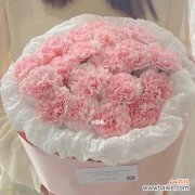 传递爱与欢乐的粉色康乃馨 康乃馨花语