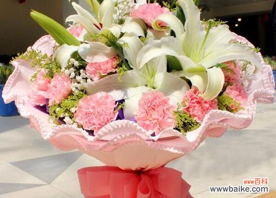 传递爱情与感恩的美丽康乃馨 粉色康乃馨的浪漫花语与寓意