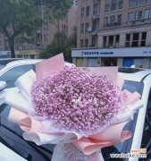 用满天星花语述说爱的力量 粉色满天星花语