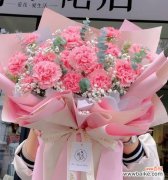 一朵花的浪漫 粉色康乃馨的美丽与寓意