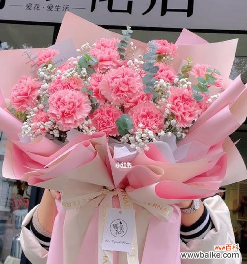 一朵花的浪漫 粉色康乃馨的美丽与寓意