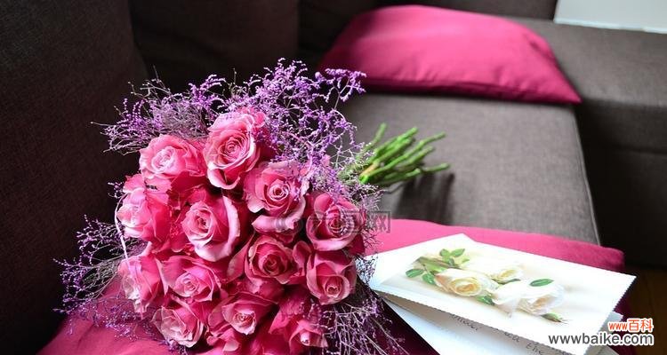 绽放爱意 粉色玫瑰花的浪漫寓意