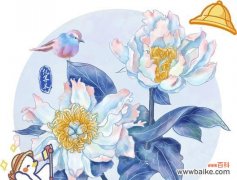 哪种花象征爱情？纯银象征爱情的花是什么？