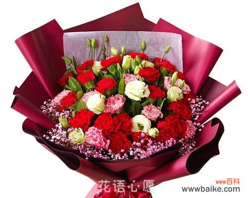 母亲节送什么花最合适？各种花的寓意是什么？