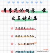 什么花寓意富贵子？它们的花语有哪些？