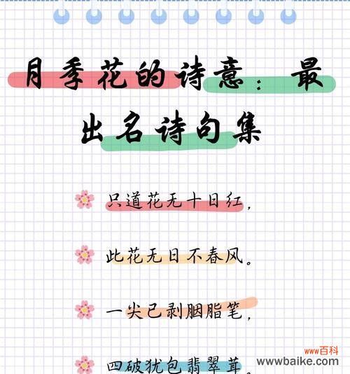 什么花寓意富贵子？它们的花语有哪些？