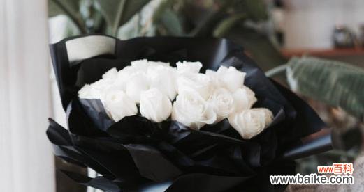 白色带灯玫瑰花代表什么？它的寓意是什么？