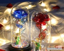 白色带灯玫瑰花代表什么？它的寓意是什么？