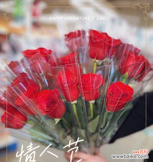 情人节送玫瑰花有何寓意?如何选择合适的玫瑰?