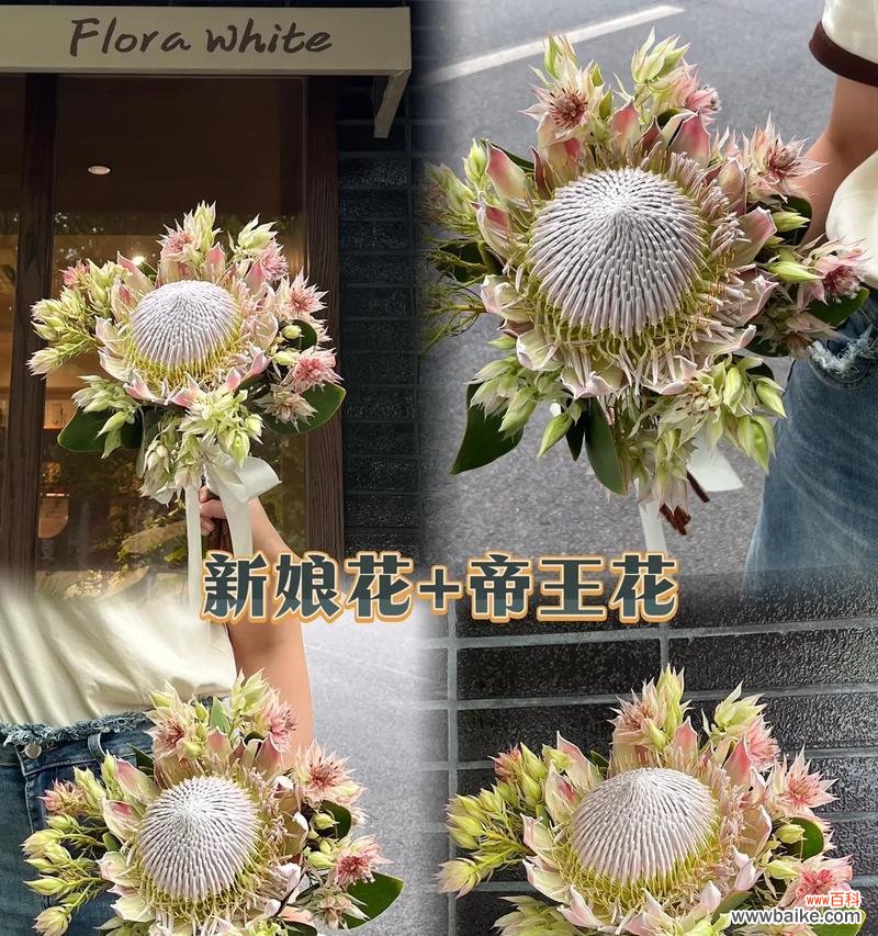 登记时手捧花的花语和寓意是什么?如何选择?