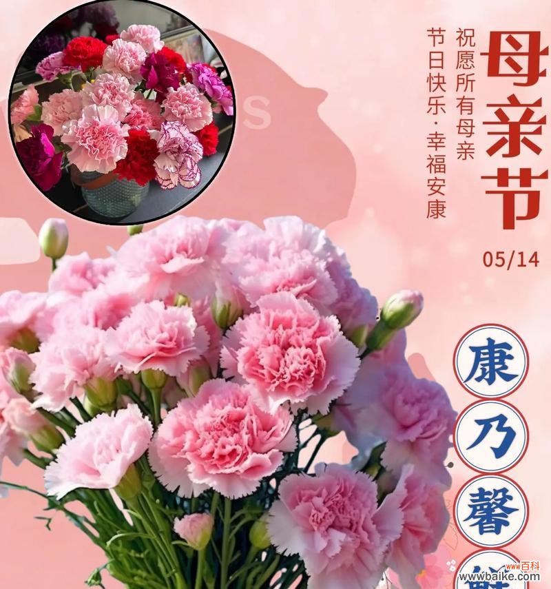 登记时手捧花的花语和寓意是什么?如何选择?