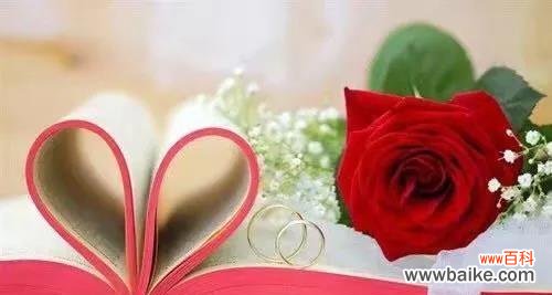 揭示菟丝花的花语与文化内涵 菟丝花的意义与象征