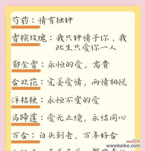 新娘不拿手捧花有何寓意？