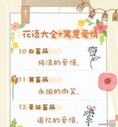 哪种花象征爱情和美好生活？爱情与美好生活的花语是什么？