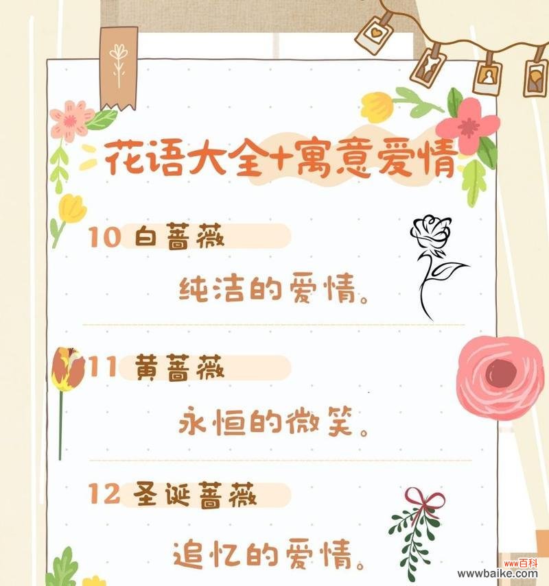 哪种花象征爱情和美好生活?爱情与美好生活的花语是什么?