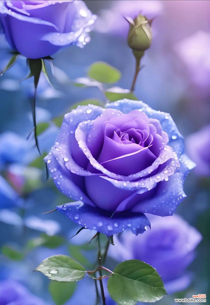 哪种花象征爱情和美好生活?爱情与美好生活的花语是什么?