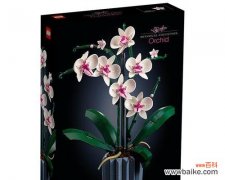 积木手捧花代表什么含义？