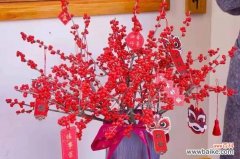 春节期间餐巾花的寓意有哪些？