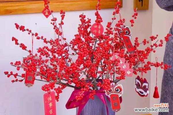 春节期间餐巾花的寓意有哪些?