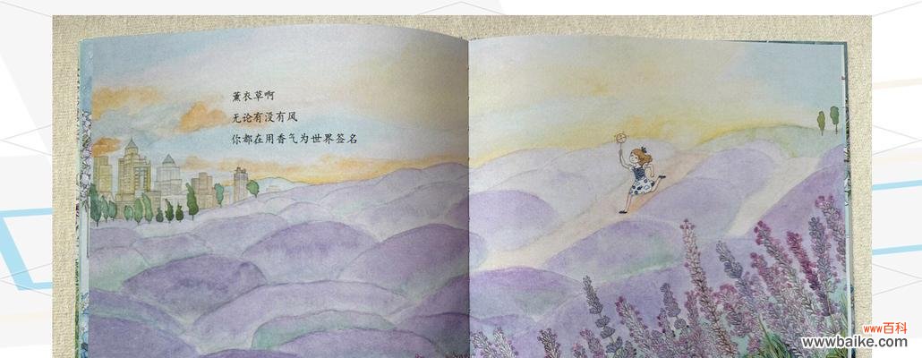 四季分别象征哪些花？四季花语有哪些？