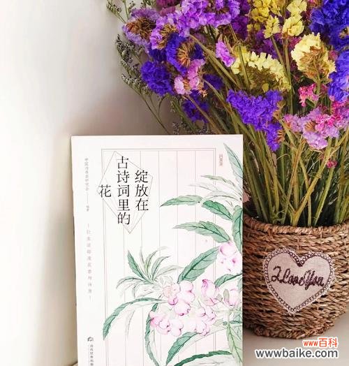 四季分别象征哪些花？四季花语有哪些？