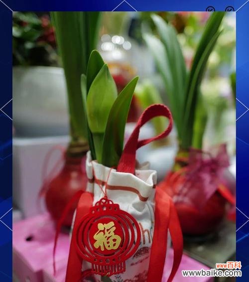 春节餐巾花有何寓意？它们象征着什么？