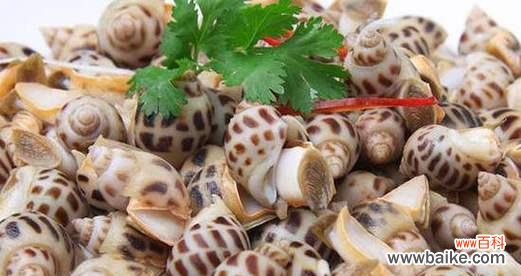 花螺的吉祥寓意是什么？花螺在文化中代表什么？