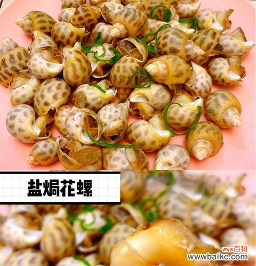 花螺的吉祥寓意是什么？花螺在文化中代表什么？