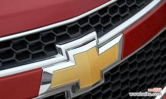 哪个车标象征爱情？车标中的爱情花是什么？