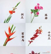 寓意健康的花材养护方法是什么？