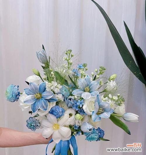 紫罗兰代表什么?手捧花紫罗兰的寓意是什么?