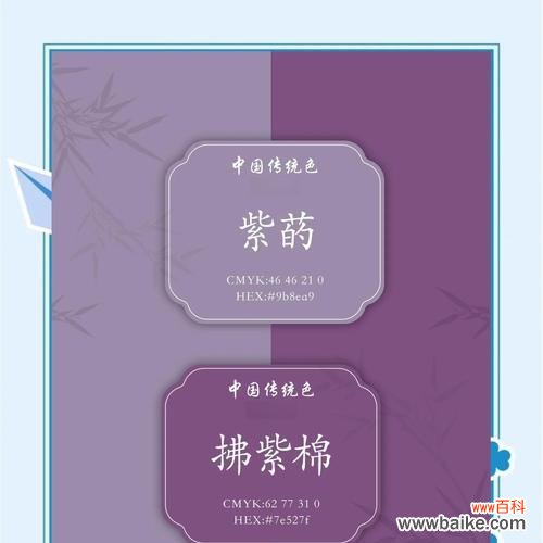 紫色星星花有何寓意？它象征着什么？