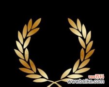 探寻橄榄枝在历史中的象征意义 橄榄枝