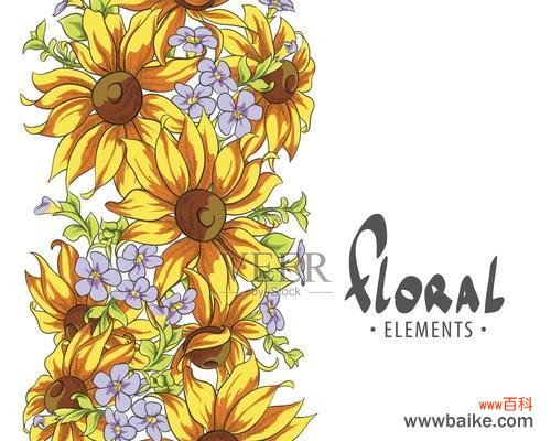 白色的向阳花寓意着什么？