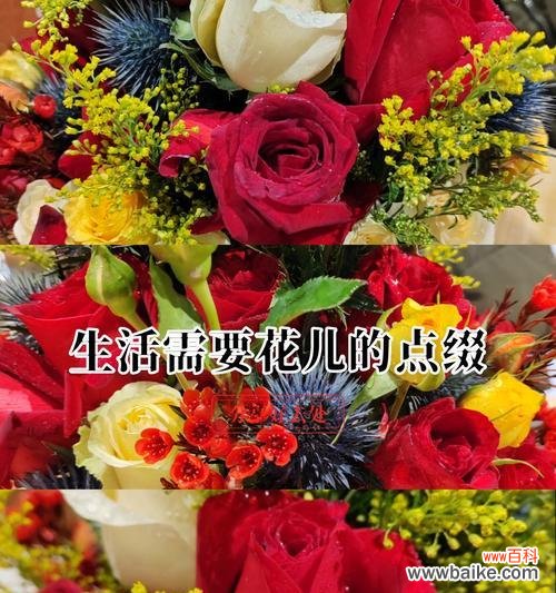 哪种花象征着爱与幸福？它的寓意是什么？