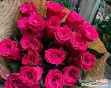 揭开玫瑰花色的神秘面纱 玫瑰花色彩的含义