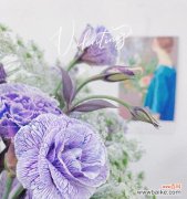 一场色彩盛宴在心间绽放 桔梗花语的美丽意境