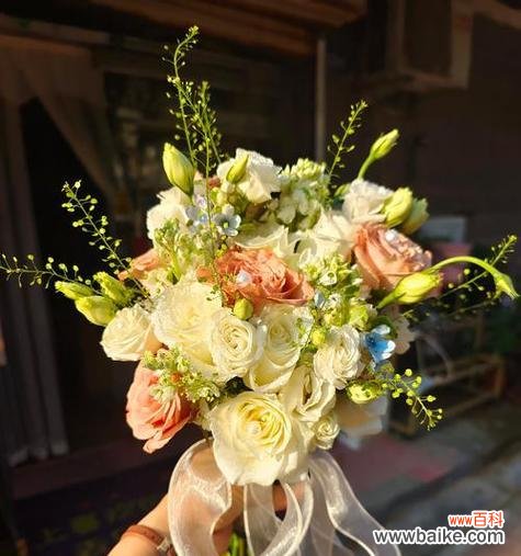 手捧花表白的意义是什么?捧花过程有何特别?