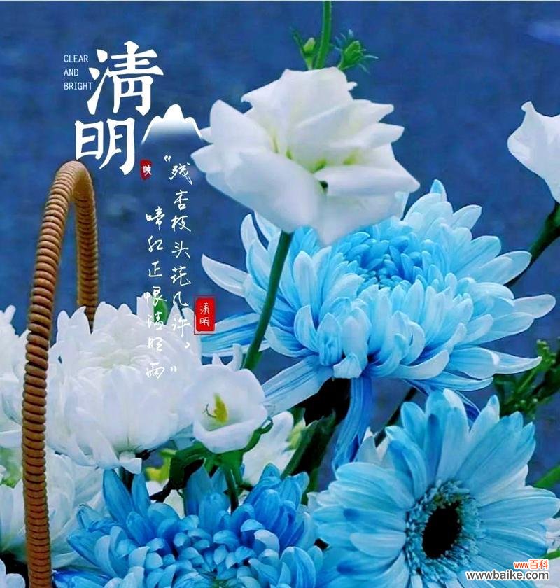清明节以花换花的寓意是什么？这一传统有何意义？