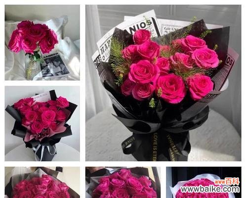 哪些花在西方象征爱情？